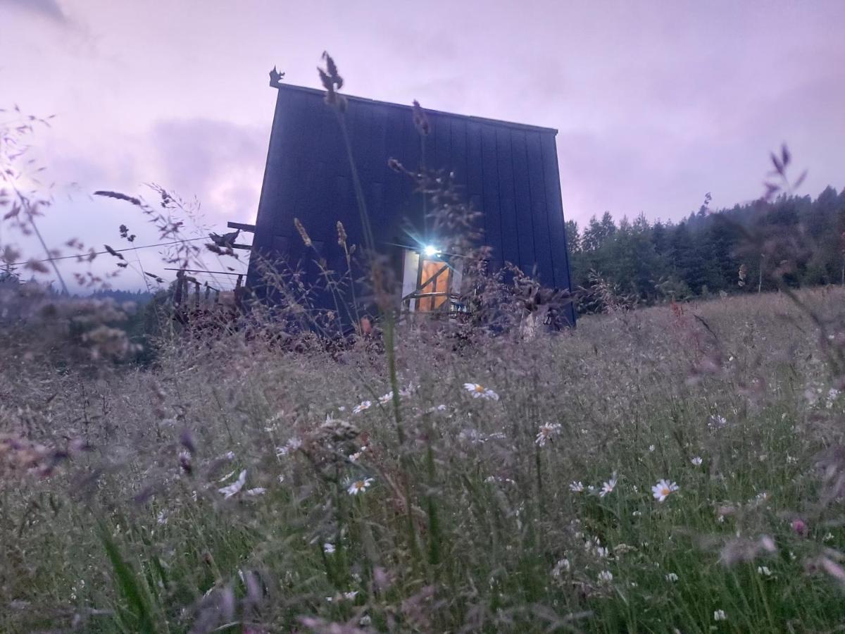 Апартаменты Oak House Поляница Экстерьер фото